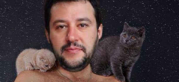 Gattini su Salvini, non solo hashtag